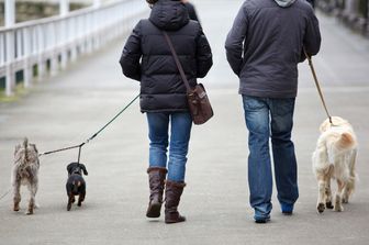 coppia con cani (agf)&nbsp;