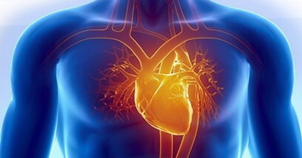 Un « gilet » qui prévient les maladies cardiaques a été créé