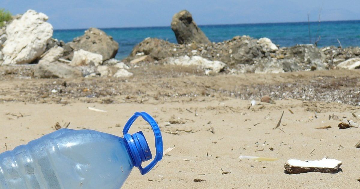 Cotton fioc al terzo posto nella top ten dei rifiuti in spiaggia - La Nuova  Ecologia