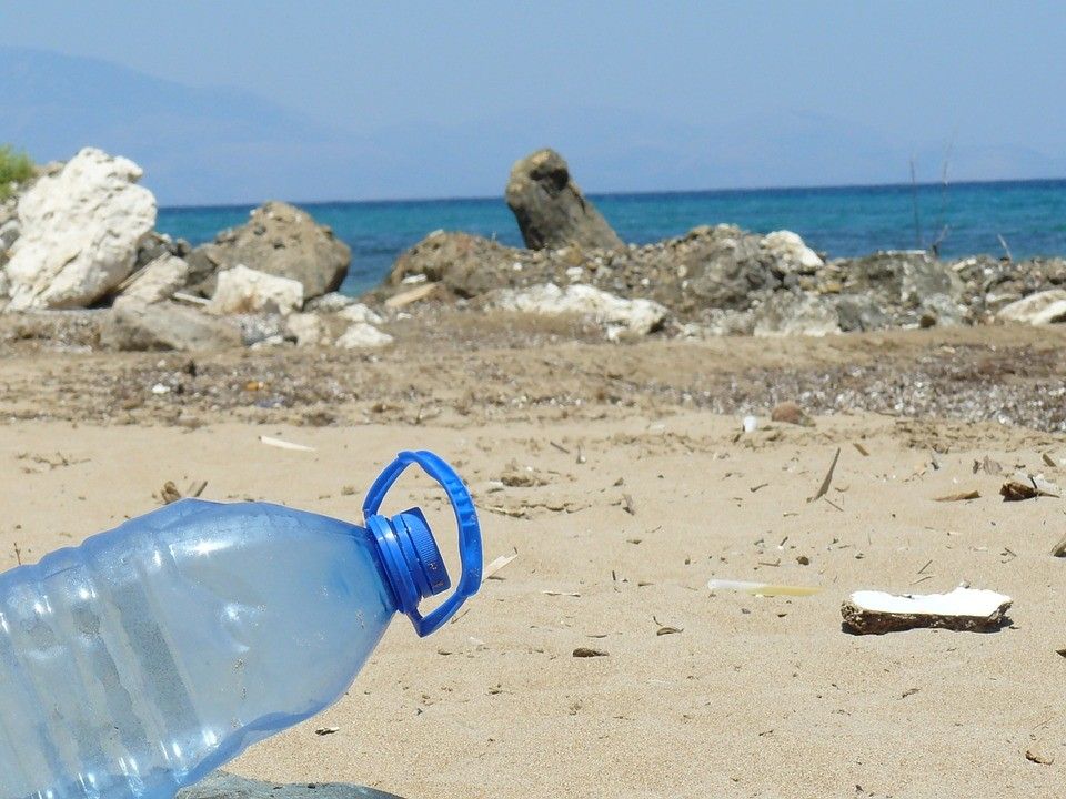 I bicchieri di carta davvero green senza plastica - la Repubblica