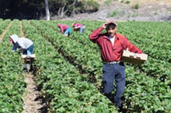 &nbsp;Coldiretti mercato agricolo migranti - coldiretti