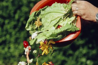 scarti alimentari spazzatura cibo (Agf)