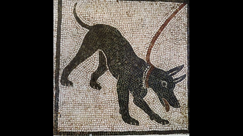 &nbsp; Pompei rinasce a Montreal