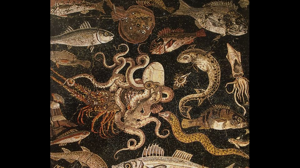 &nbsp; Pompei rinasce a Montreal