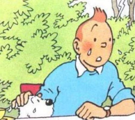 &nbsp;Bruxelles, la solidariet&agrave; corre su Twitter. E' virale la foto di Tintin in lacrime (foto da Twitter)