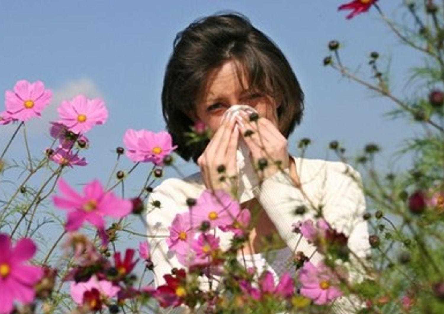 &nbsp;allergia polline