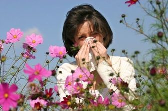 &nbsp;allergia polline raffreddore starnuti.jpg