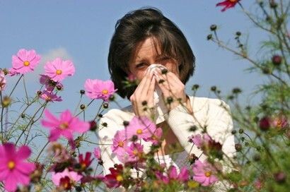 allergia polline raffreddore starnuti.jpg