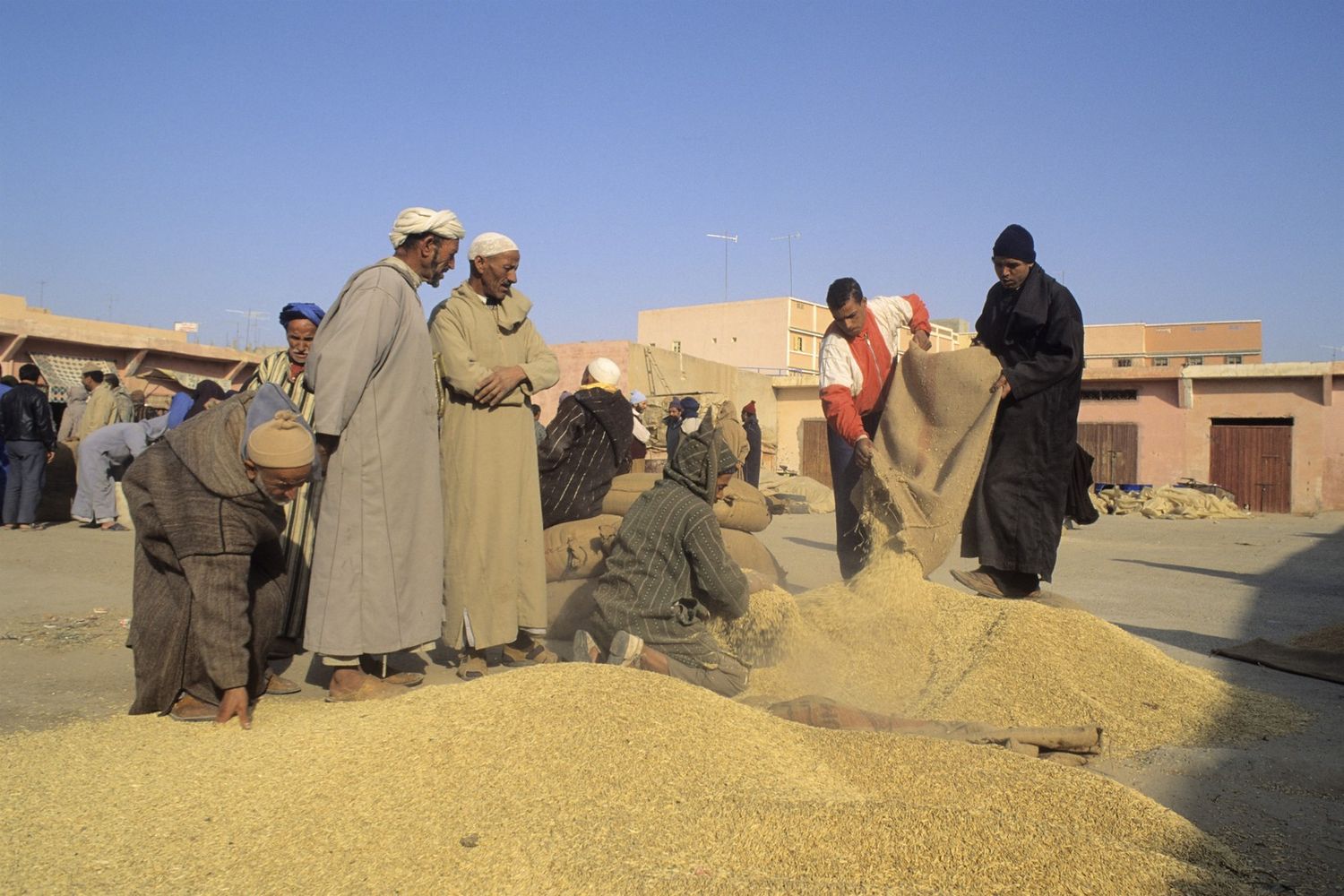 Agricoltura economia Marocco
