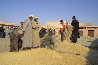 Marocco-Italia: accordo Crédit Agricole e CDP per finanziare l'agricoltura sostenibile e la transizione verde