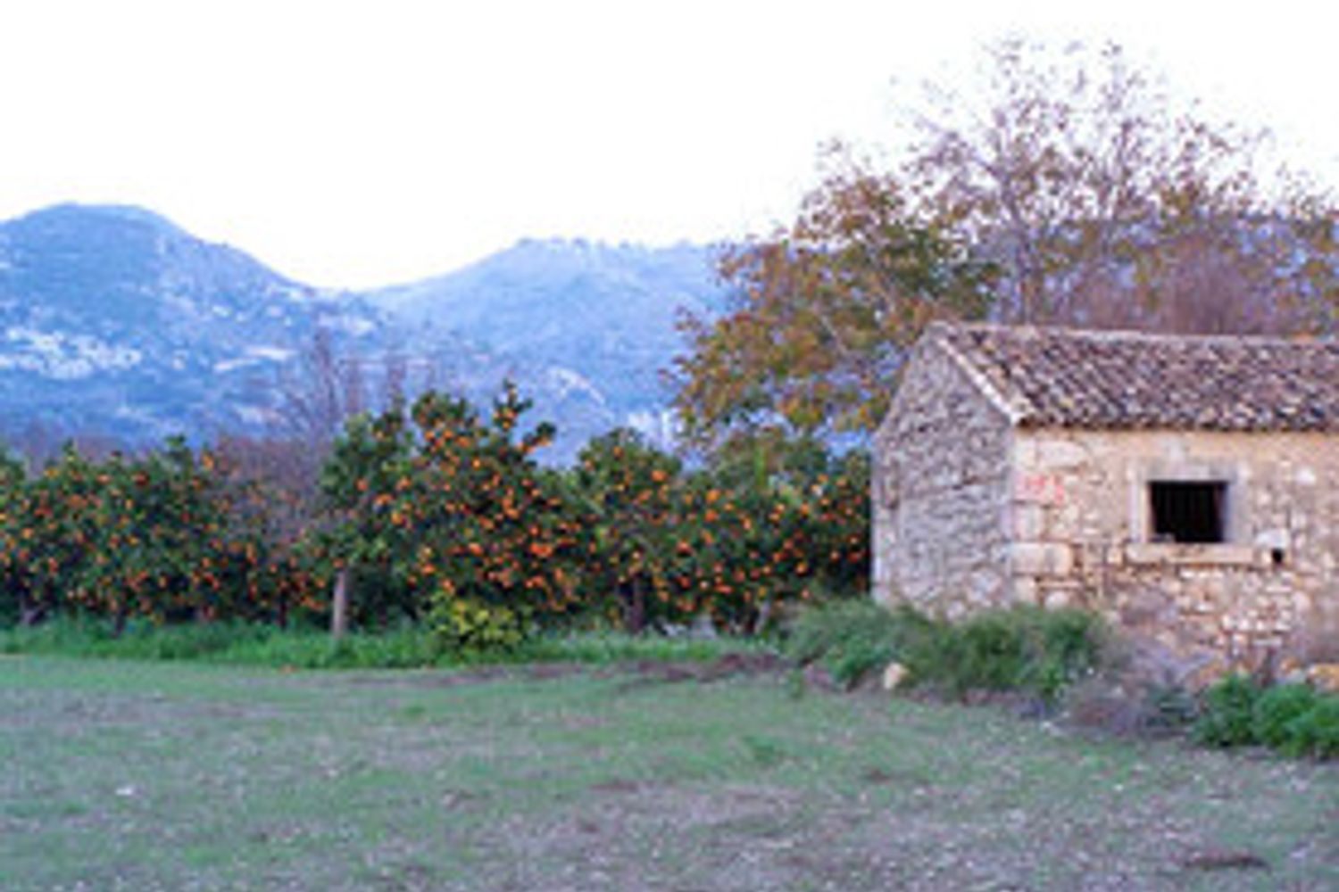 campagna abbandonata&nbsp;