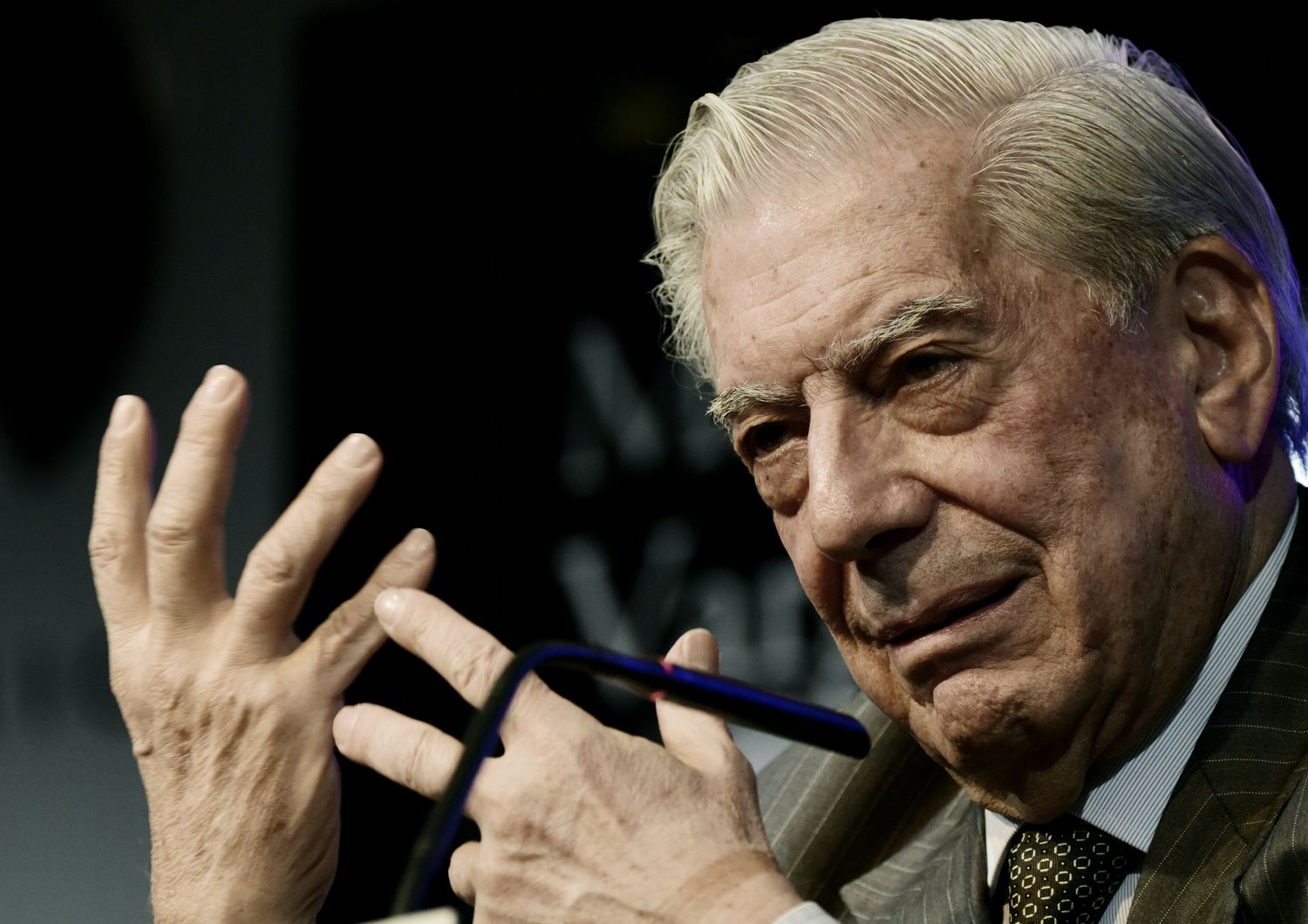 Mario Vargas Llosa (afp)&nbsp;