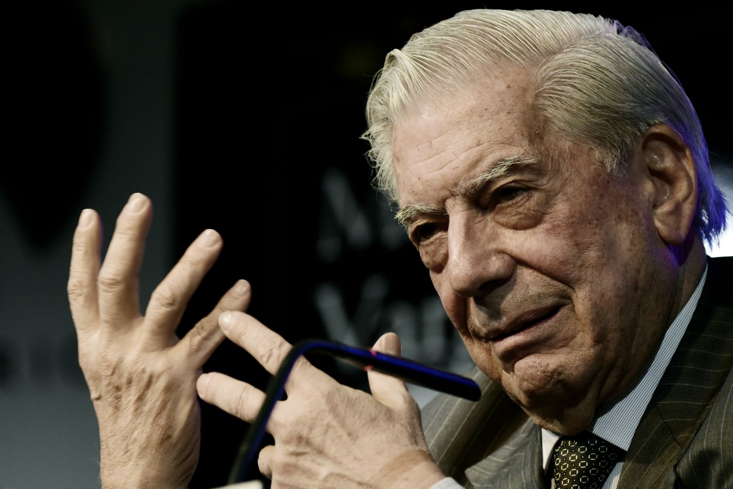 Mario Vargas Llosa (afp)&nbsp;