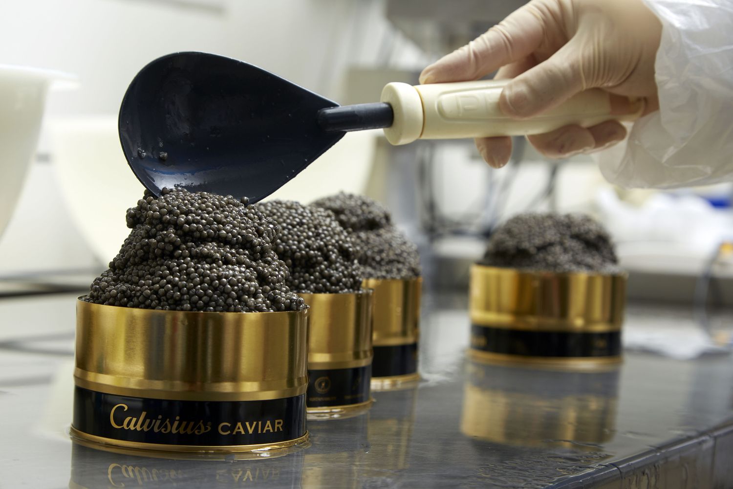 &nbsp;Dalla vasca alla lattina cosi' nasce il caviale made in Italy&nbsp;