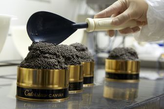 &nbsp;Dalla vasca alla lattina cosi' nasce il caviale made in Italy&nbsp;