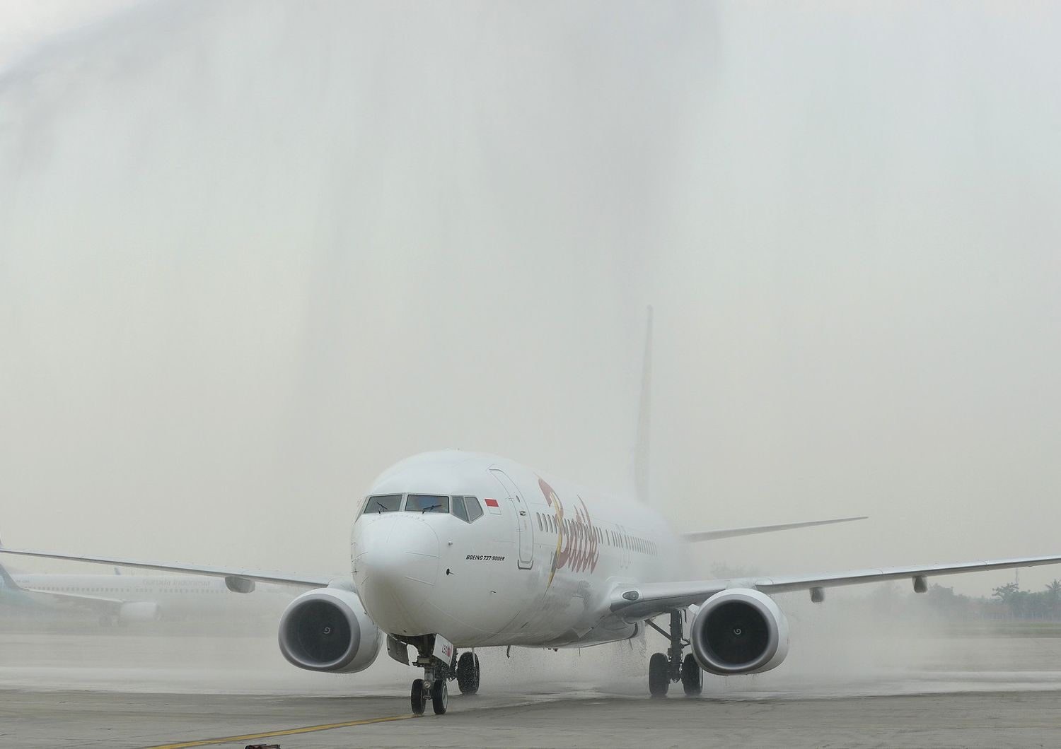 boeing Batik Air (afp)&nbsp;