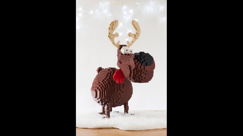 Renna: Funny Christmas&nbsp;