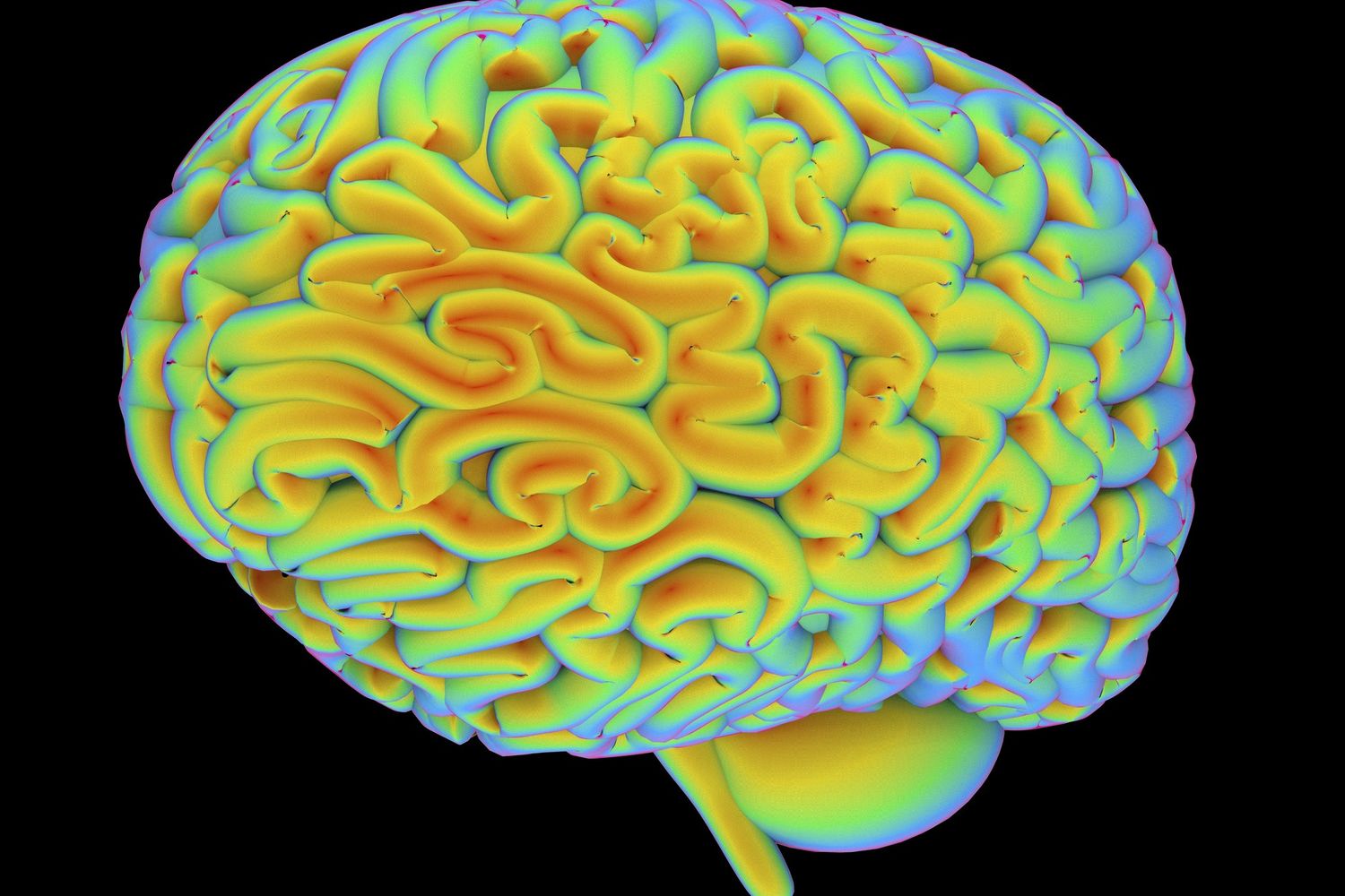 Sistema nervoso (Afp)&nbsp;