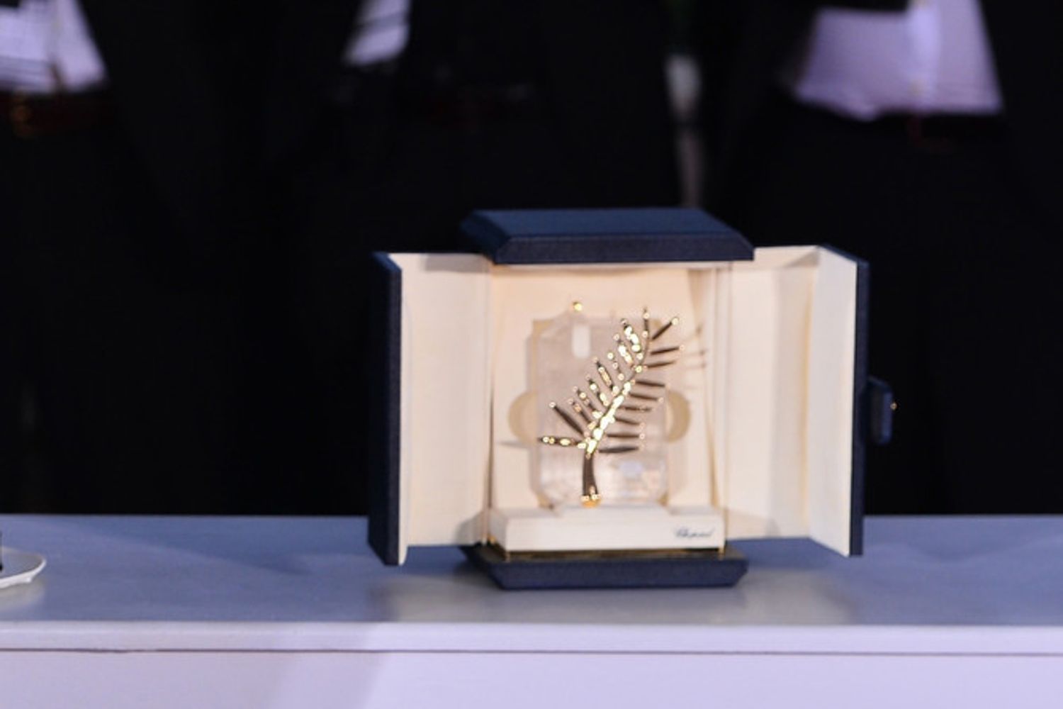 festival cannes&nbsp;