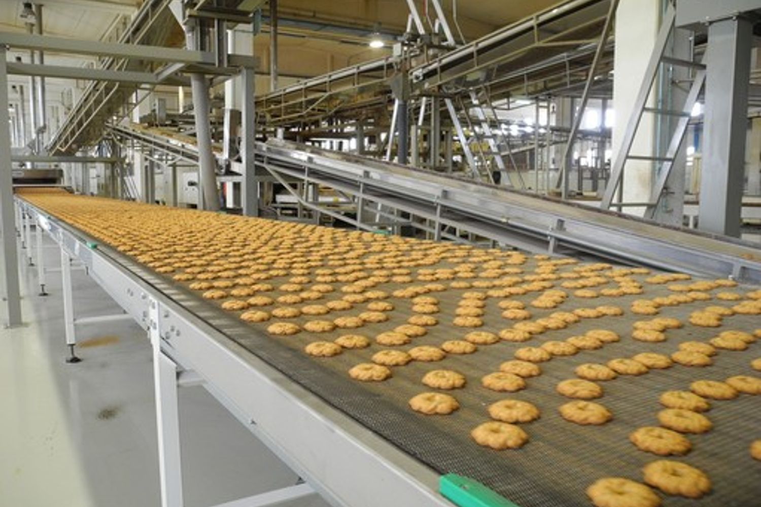 di leo biscotti&nbsp;