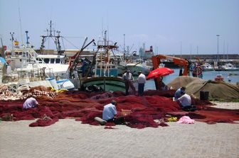 &nbsp;pesca porto pescatore industria di pesce reti - pixabay