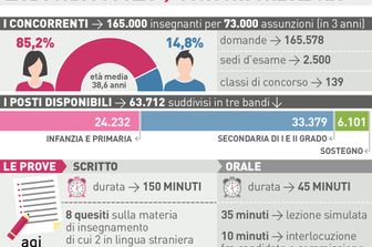 &nbsp;Infografica concorsone scuola