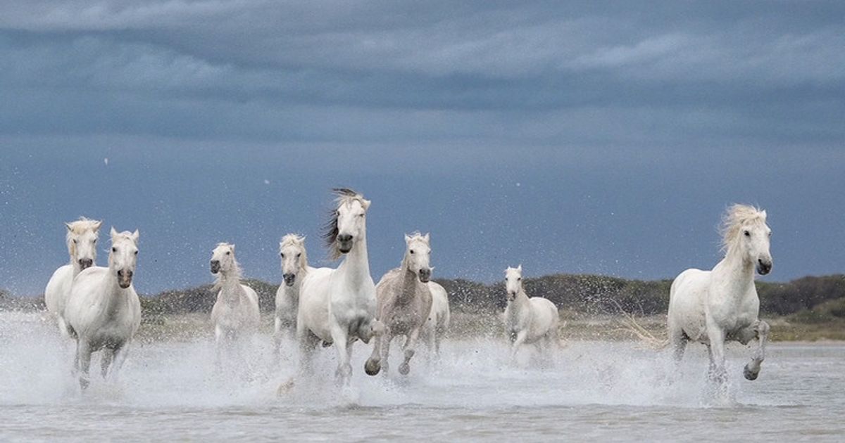 The phoetry of earth: mostra fotografica di Barbara Dall'Angelo a Roma