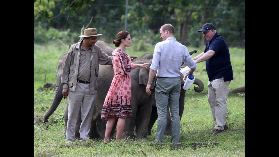 William e Kate con un elefante a Guwati, India(2016)