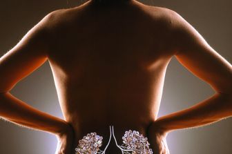 &nbsp;Rene, reni, renale, renali