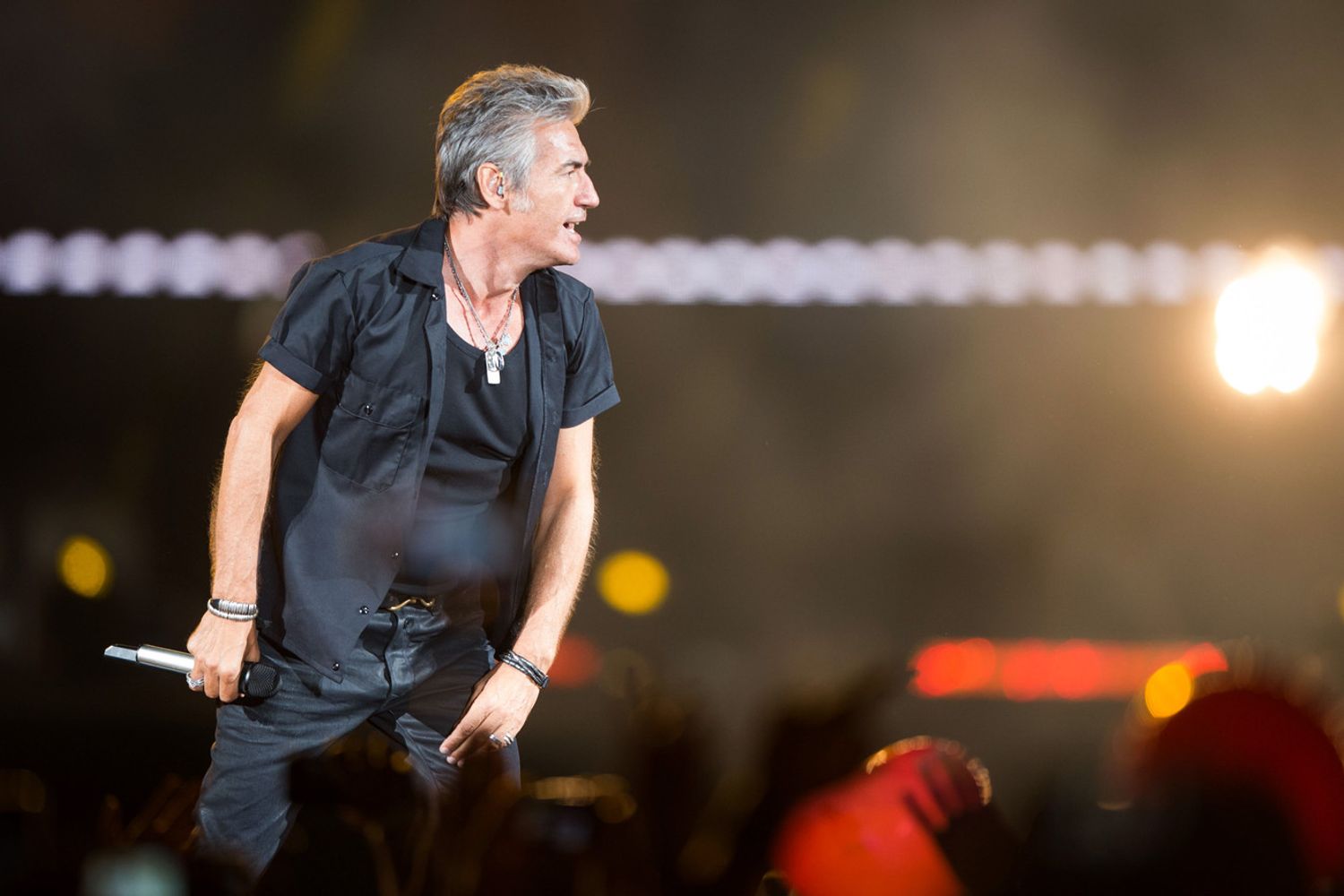 &nbsp;Luciano Ligabue