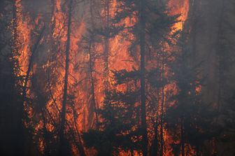 Incendio boschivo a Fort McMurray, Canada (afp)&nbsp;