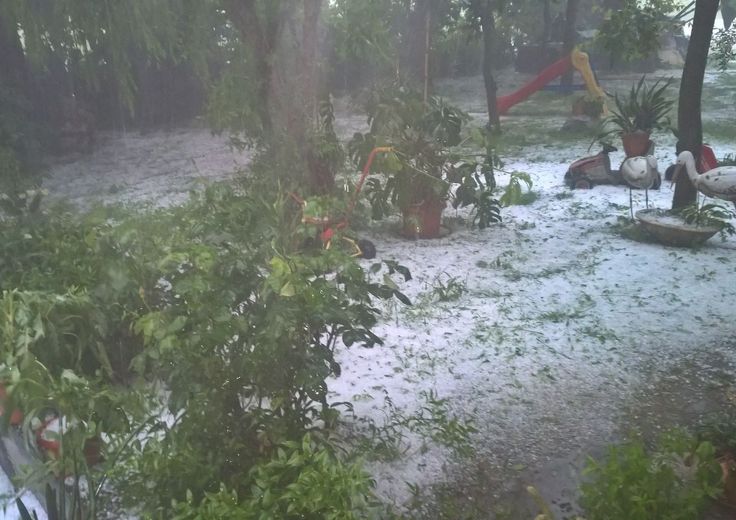 maltempo grandine pioggia (foto da Coldiretti)&nbsp;