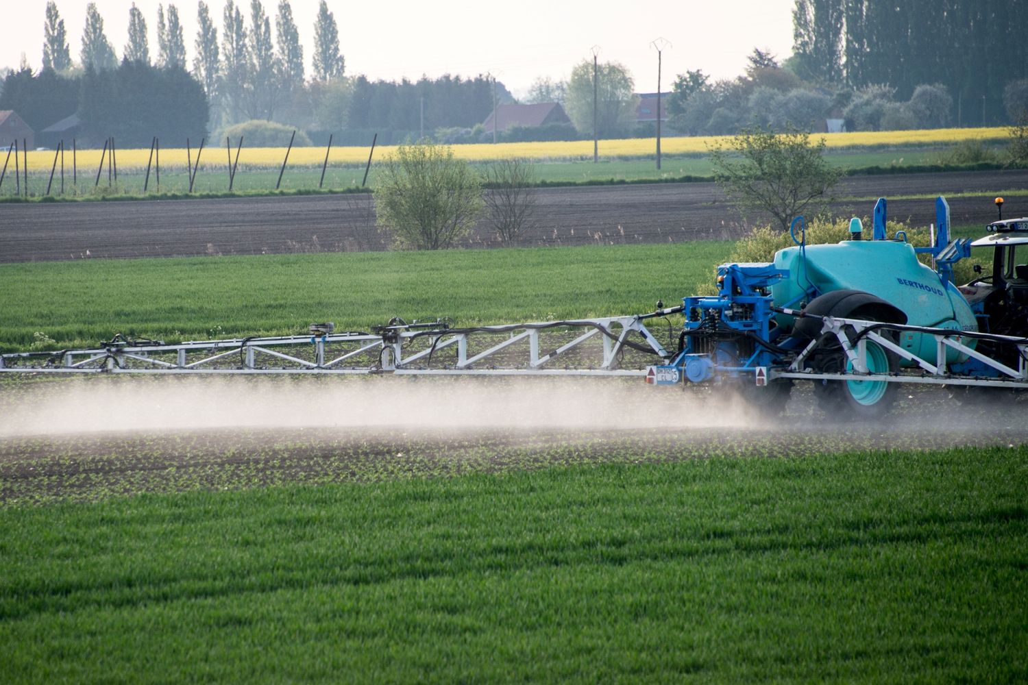 &nbsp;Pesticidi in agricultura - afp