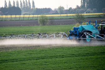 &nbsp;Pesticidi in agricultura - afp