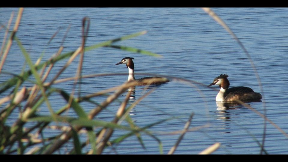 Parco dei Nebrodi&nbsp;