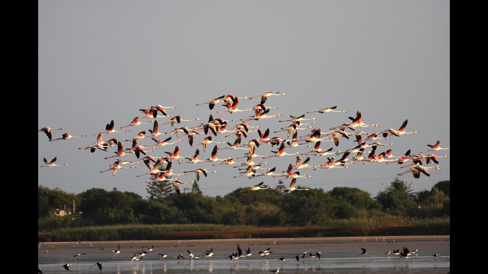 Parco dei Nebrodi&nbsp;