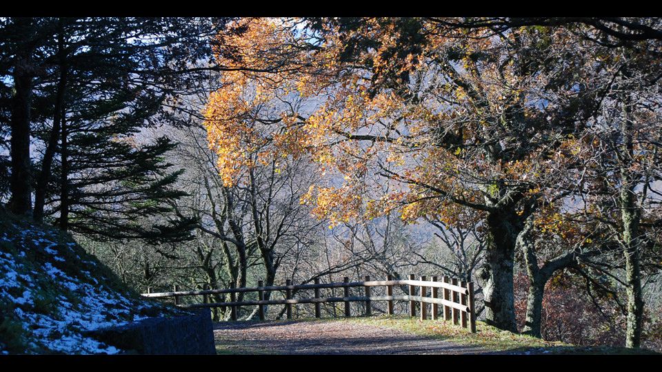 Parco dei Nebrodi&nbsp;