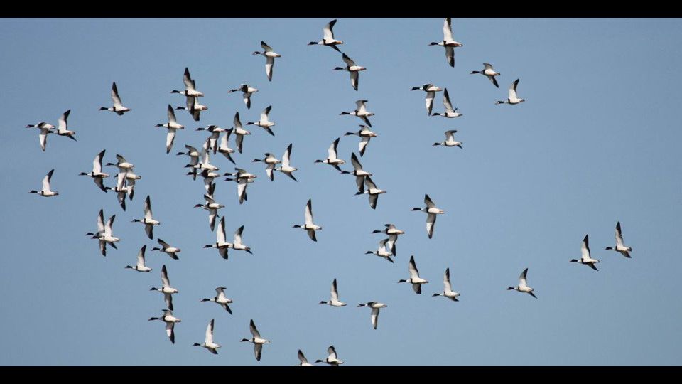 Parco dei Nebrodi&nbsp;