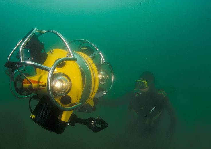 &nbsp;Robot acquatico