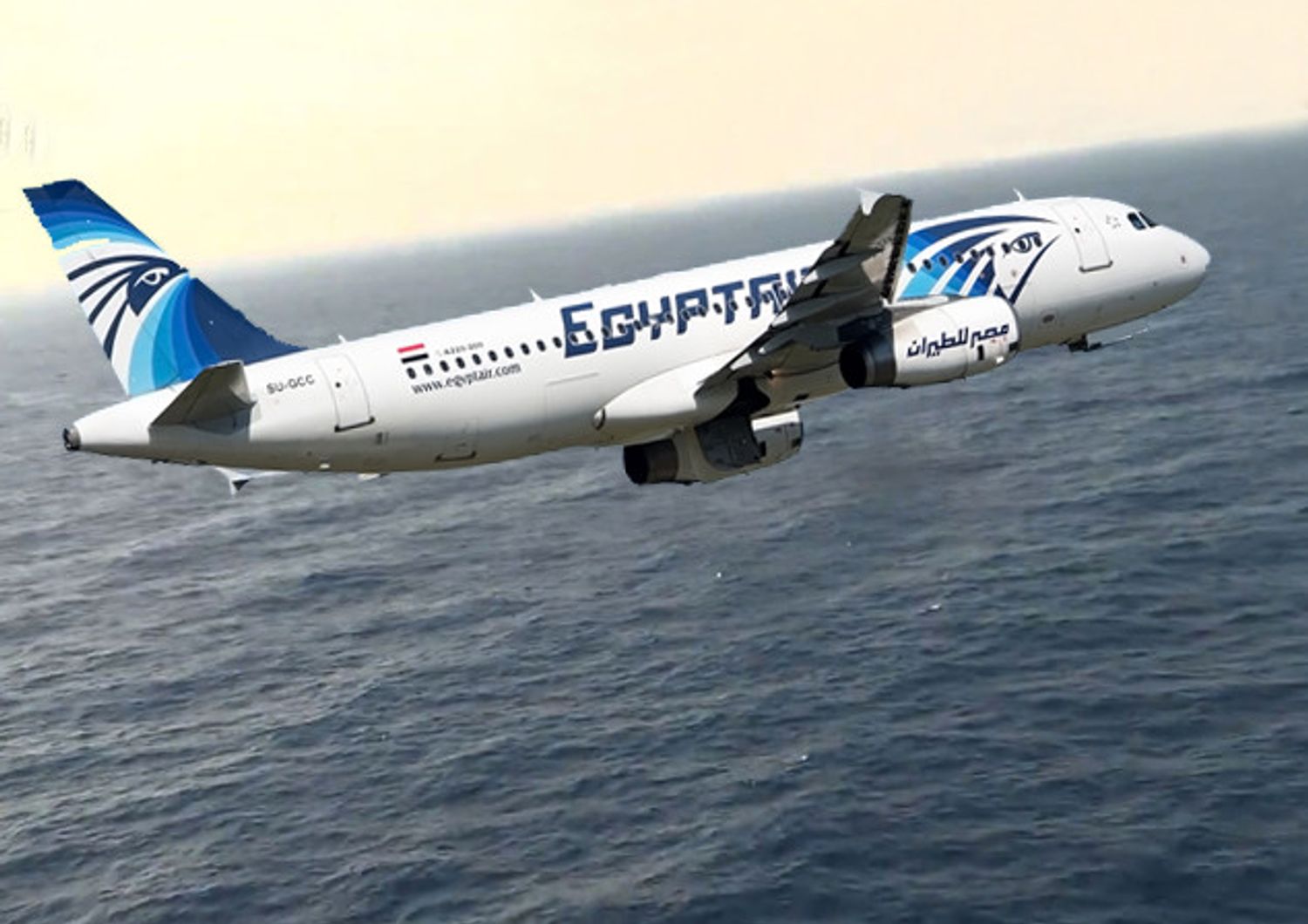 EgyptAir (afp)&nbsp;