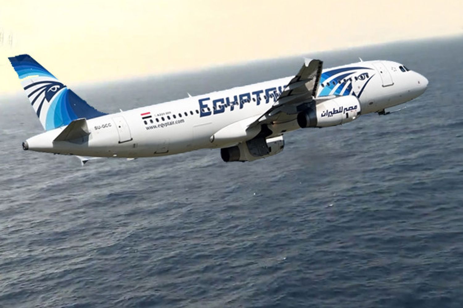 EgyptAir (afp)&nbsp;