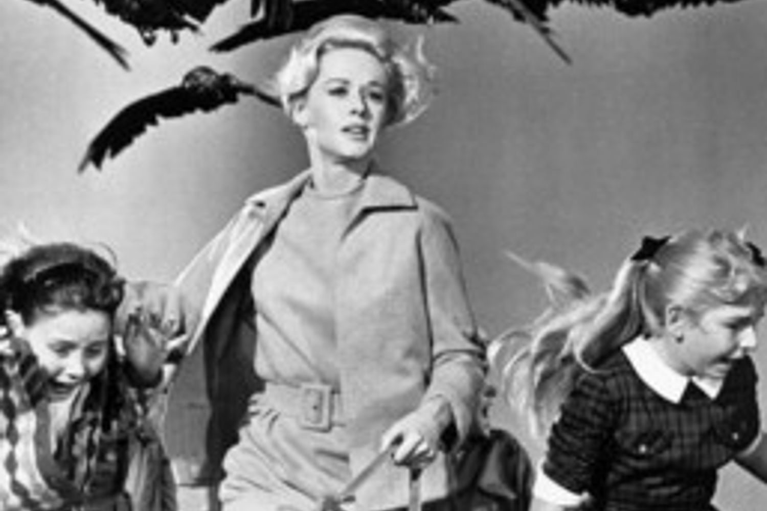 &nbsp;Hitchcock&nbsp;Gli Uccelli