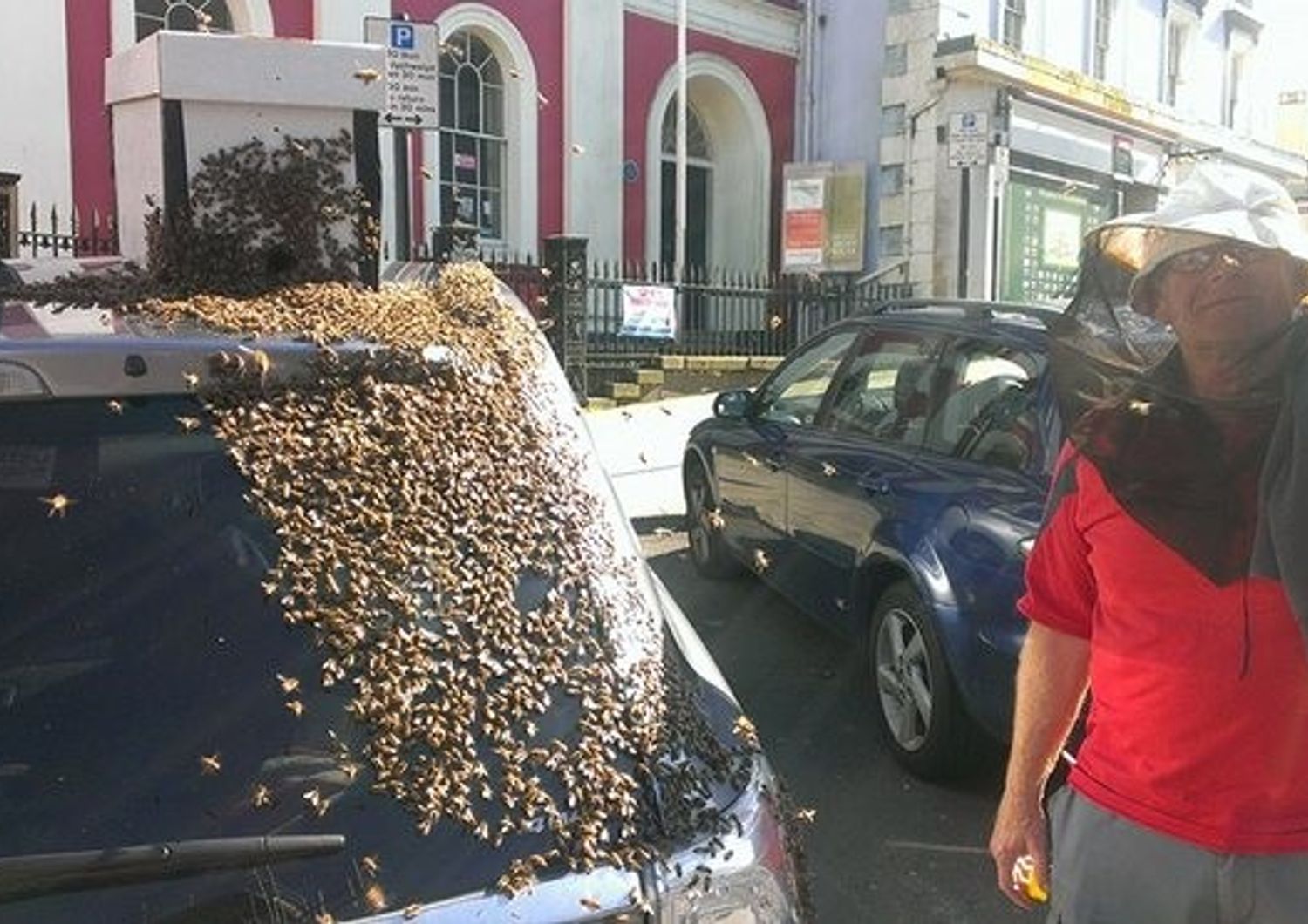 Sciame di 10mila api su un&#39;auto, la regina era nel bagagliaio