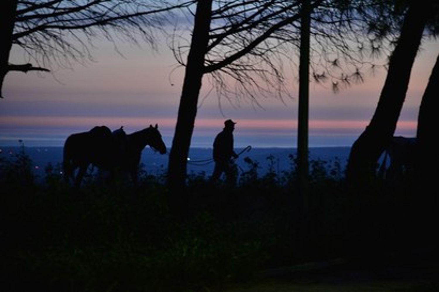 Transumanza butteri cowboy all'italiana