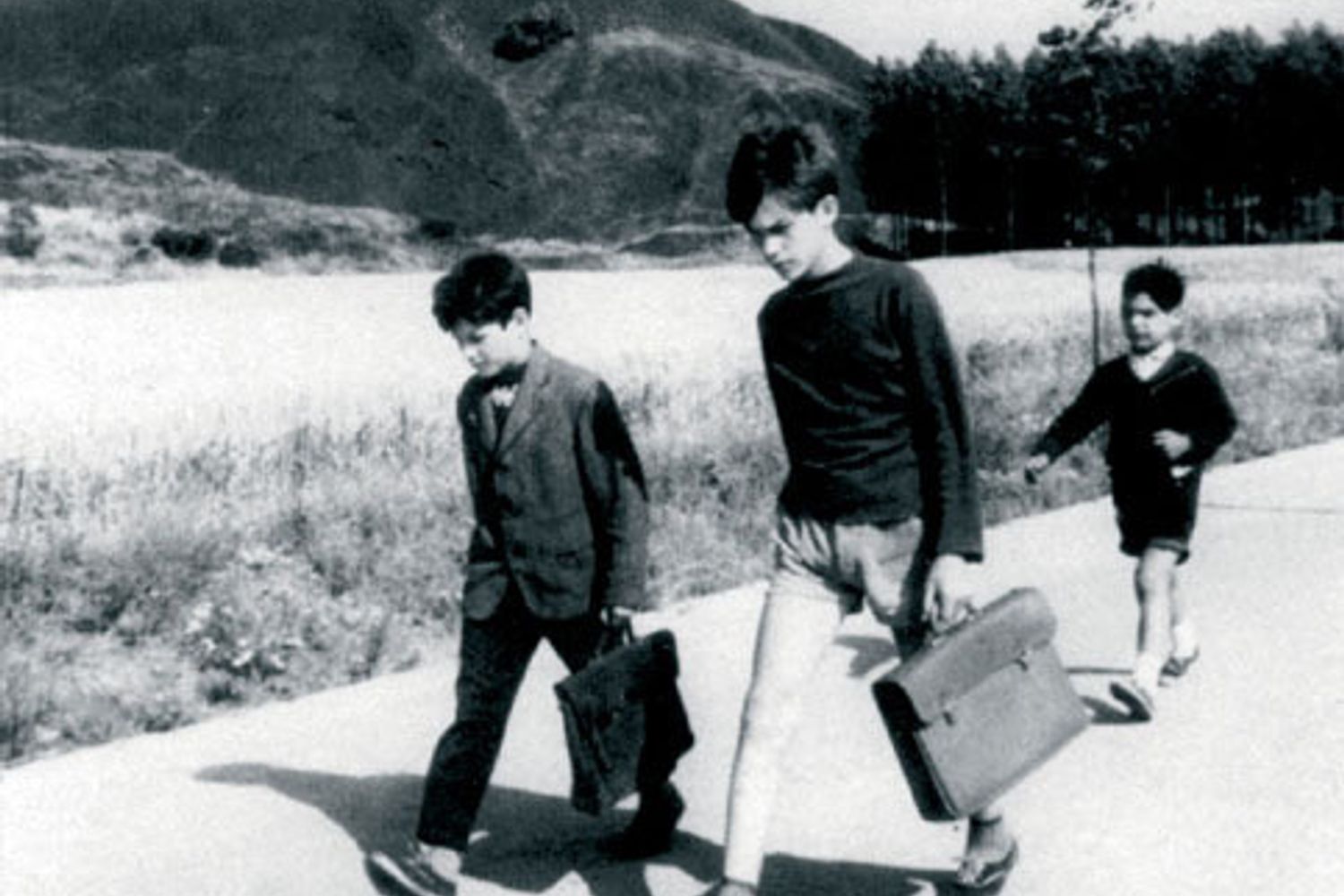 Gi&agrave; vola il fiore magro&nbsp;