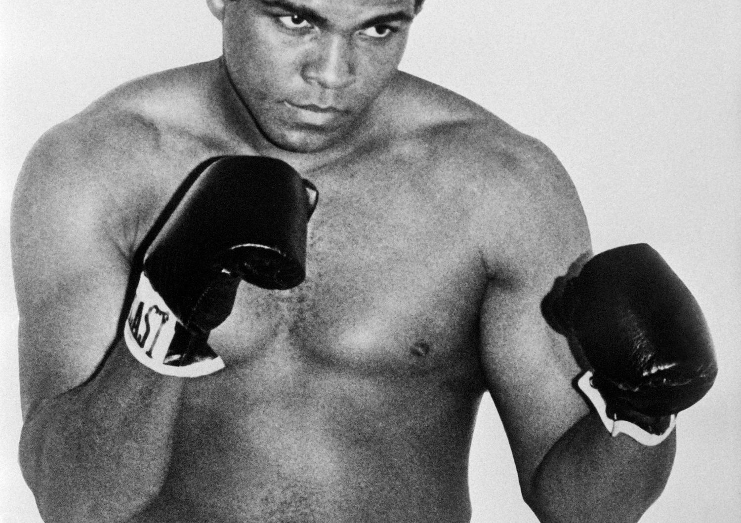 Muhammad Ali (Cassius Clay) &egrave; diventato campione olimpico dei pesi massimi nel 1960, poi campione del mondo dei pesi massimi per la prima volta nel febbraio 1964 contro Sonny Liston.  Muhammad Ali ha vinto la medaglia olimpica &nbsp;dei pesi massimi a Roma nel 1960, a 18 anni, e il titolo professionale mondiale dei pesi massimi per la prima volta nel febbraio 1964 contro Sonny Liston&nbsp;