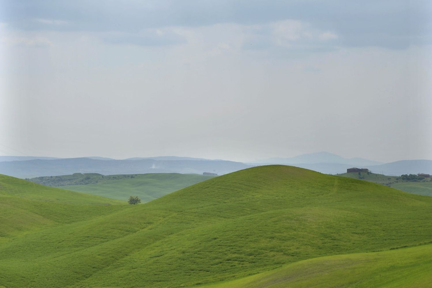 &nbsp;Agricoltura campi di grano (Agf)