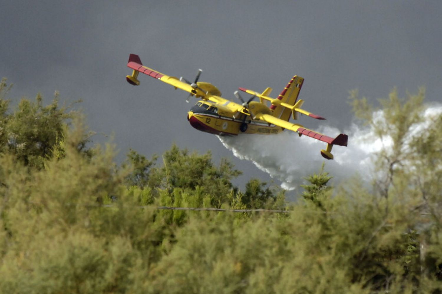 Incendi boschivi Canadair Protezione civile (Agf)