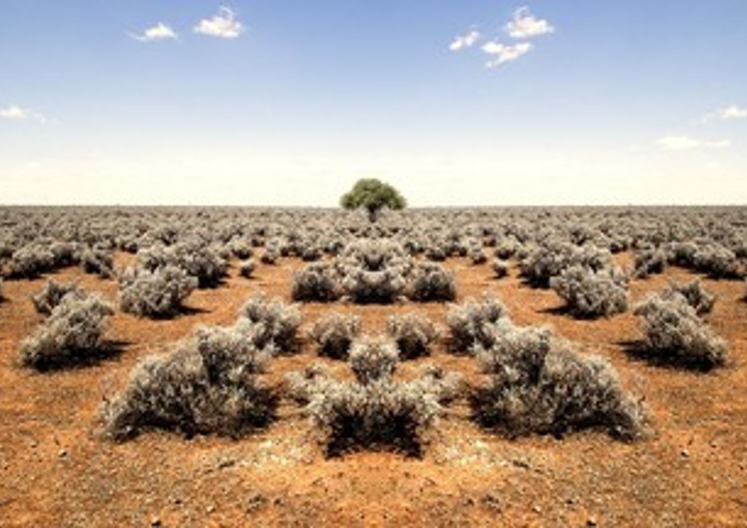 &nbsp;deserto desertificazione siccita - pixabay