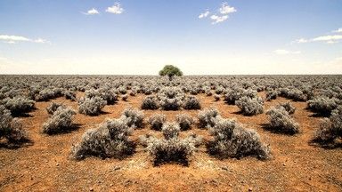 &nbsp;deserto desertificazione siccita - pixabay